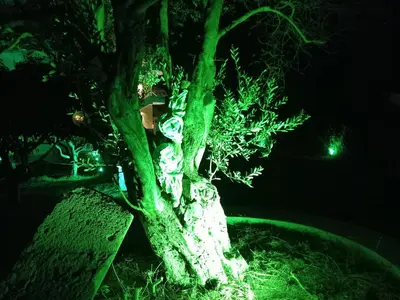 a tree with green lights on it at night at Sweet Home Luxury Apartments in Ialyssos
