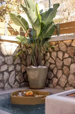 a plant in a pot next to a tray of food at Saint Zoe Suites in Rhodes Town