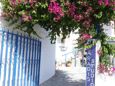 a blue gate with pink flowers on a white wall at Paradis Studios in Archangelos