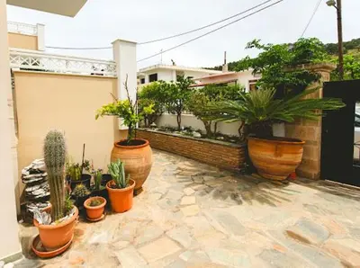 a patio with a bunch of potted plants at Studio Irene, Lindos 10 minutes, Beach 4 minutes in vlicha