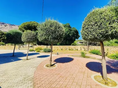 a group of three trees on a brick walkway at Villa Libre Mare, your cozy vacation villa in Pefki Rhodes