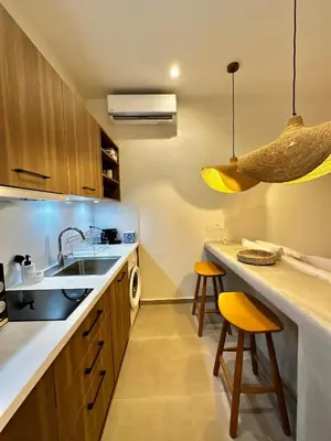 a kitchen with a sink and a dishwasher at Serenity Suites in Halki