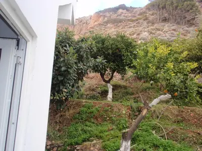 a view from the window of a house with orange trees at Antouan Matina in Archangelos