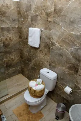a bathroom with a toilet and a shower at Blue Bay Villas , First Floor in Archangelos