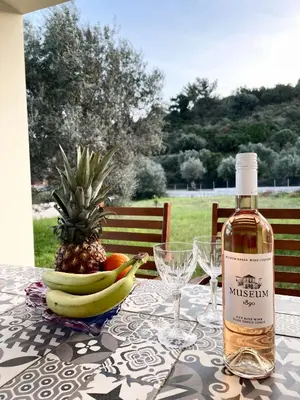 a bottle of wine and a bowl of fruit on a table at Marilia relaxing home, Afantou in Afantou