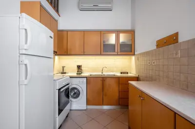 a kitchen with a white refrigerator and a dishwasher at Ilioni Apartment in Symi
