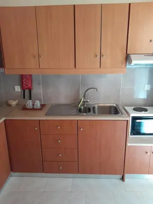 a kitchen with wooden cabinets and a sink at 