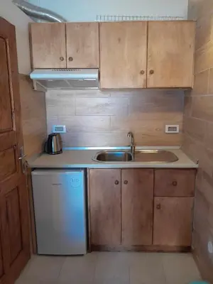 a small kitchen with a sink and a dishwasher at 
