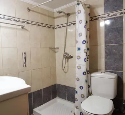 a bathroom with a toilet and a shower at Nadia's House 2 in Afantou