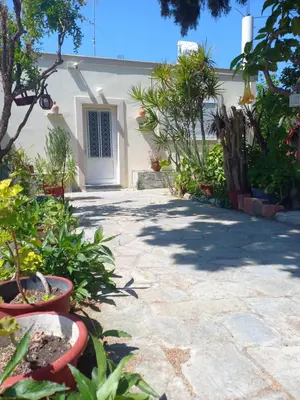 a courtyard with a white door and some plants at Maria's garden house in Archangelos