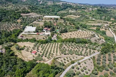 an aerial view of a garden with trees at 4 BD Luxurious villa with swimming pool in Sálakos