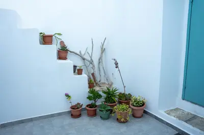 a bunch of potted plants sitting on a stair case at 