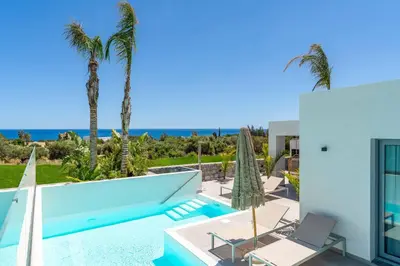 a villa with a swimming pool and palm trees at Villa Levanta in Gennadi