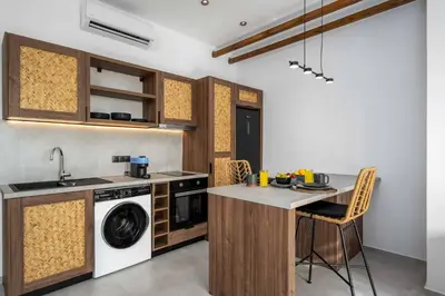 a kitchen with a washer and a sink and a dishwasher at Villa Kiotari Sun in Kiotari