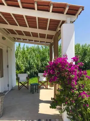 a patio with a wooden pergola and purple flowers at Charming Cottage on the sea turtle beach in Apolakkiá