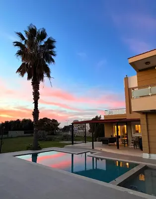 a house with a palm tree and a swimming pool at Gia's Luxury Residence in Asgourou
