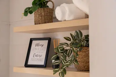 a shelf with plants and a picture on it at Ixia home in Ixia