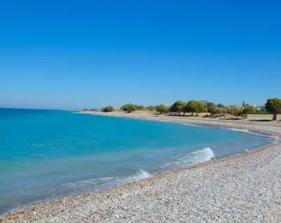 a beach with blue water and trees in the background at M&K Traditional House in Theologos
