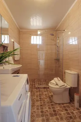 a bathroom with a toilet and a shower at Aneza in Kremasti