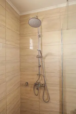 a shower with a shower head in a bathroom at Aneza in Kremasti