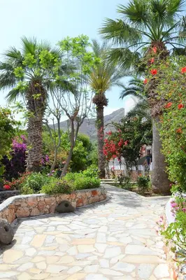 a garden with palm trees and a stone walkway at Hotel Irini in Livadia