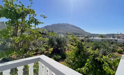 a view from the balcony of a house with a mountain in the background at Cozy Archangelos apartments with private parking in Archangelos