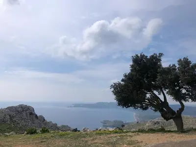 a tree on top of a hill next to a body of water at Cozy Archangelos apartments with private parking in Archangelos