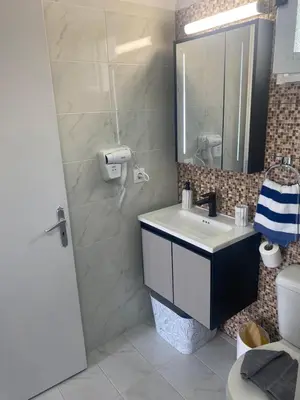 a bathroom with a sink and a mirror and a toilet at Flowers Lullaby Loft in Afantou