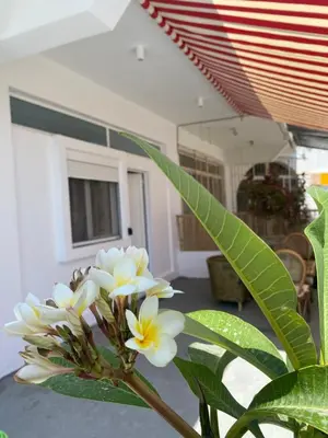 a plant with white flowers in a room at Flowers Lullaby Loft in Afantou