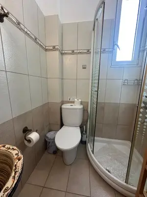 a bathroom with a toilet and a shower at White Houses Villas in Gennadi