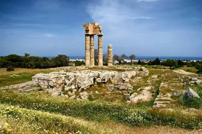 an ancient temple on a hill with flowers in a field at Mary's House in Rhodes Town