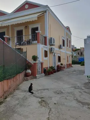 a black cat sitting in front of a building at Aggeliki's House in Symi