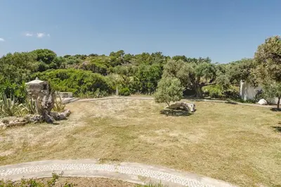 a large grass field with trees in the background at Los Olivos V.I.P Poolvilla Kritinia in Kamiros