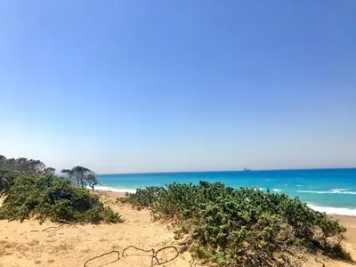 a beach with trees and the ocean in the background at Lovely independent room in Ecovilla on the beach in Apolakkiá