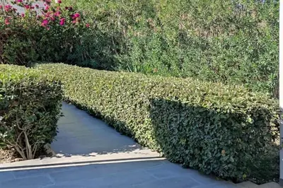 a hedge made to look like a bridge at Sea View Villa Ellada, Just 3km From Lindos in Líndos