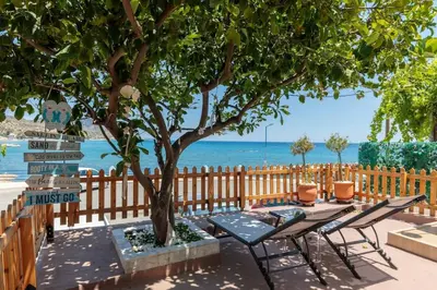 a table and chairs under a tree next to the ocean at Spot on the sea in Archangelos