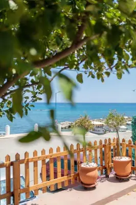 three potted plants sitting on a fence near the ocean at Spot on the sea in Archangelos