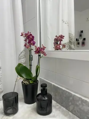 a bathroom with a bottle of soap and flowers on a counter at Summer Diamond in Kremasti