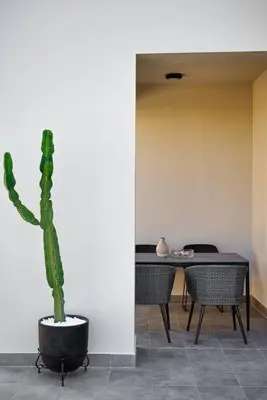 a cactus in a pot in a room with a table at Villa Serenity in Ialyssos