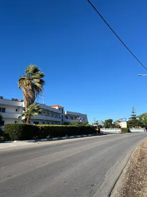 an empty street with a palm tree and a building at Ayit Hotel in Theologos