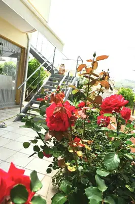 a bush of red roses in front of a building at Mika's B luxury House near Faliraki in Kalithies