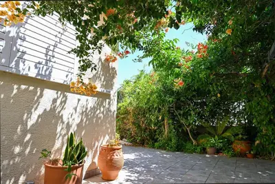 a group of plants sitting next to a wall at Ibiscus Cottage in Paradisi near the Beach in Paradeísion