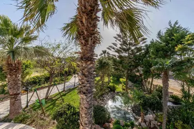 a palm tree in the botanical garden at Onda Vista Luxury Villa in Kremasti