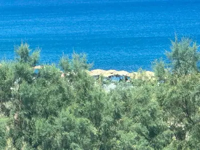 a view of the ocean from behind some trees at Villa Solmar Rhodes in Lachania