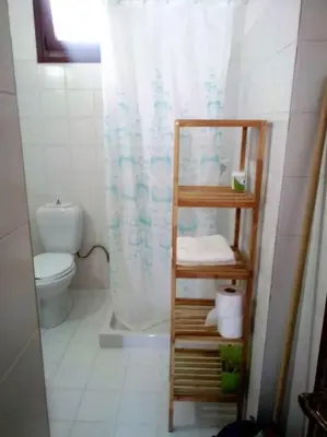 a bathroom with a toilet and a shower curtain at Perla di Mare - Katoi 1 in Symi