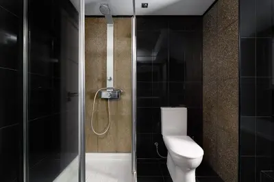 a bathroom with a toilet and a shower with black tiles at Niovis Villa in Pastida