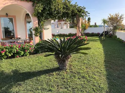 a small palm tree in the yard of a house at Welcome to relaxation in Phanaes