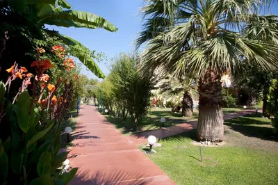 a palm tree in a park with a sidewalk at Golden Odyssey in Kolimbia