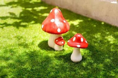 two red and white mushrooms in the grass at Lilliput Garden in Rhodes Town