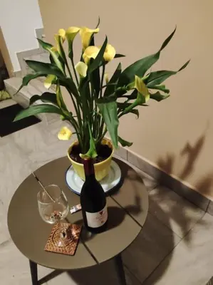 a table with a vase with yellow flowers on it at Lambou Beach Sunset in Soroni